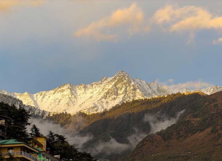 Picture 1 for Activity Hiking Day Tour to Triund from Dharamshala 3