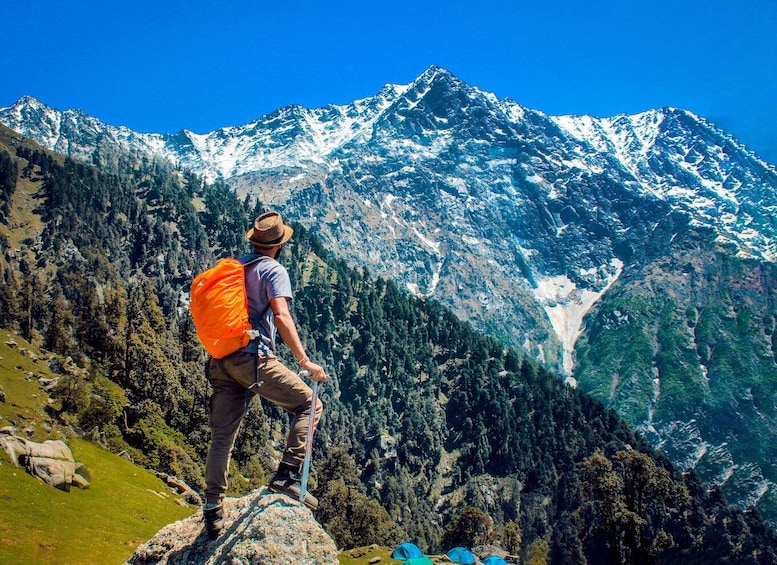 Picture 2 for Activity Hiking Day Tour to Triund from Dharamshala 2