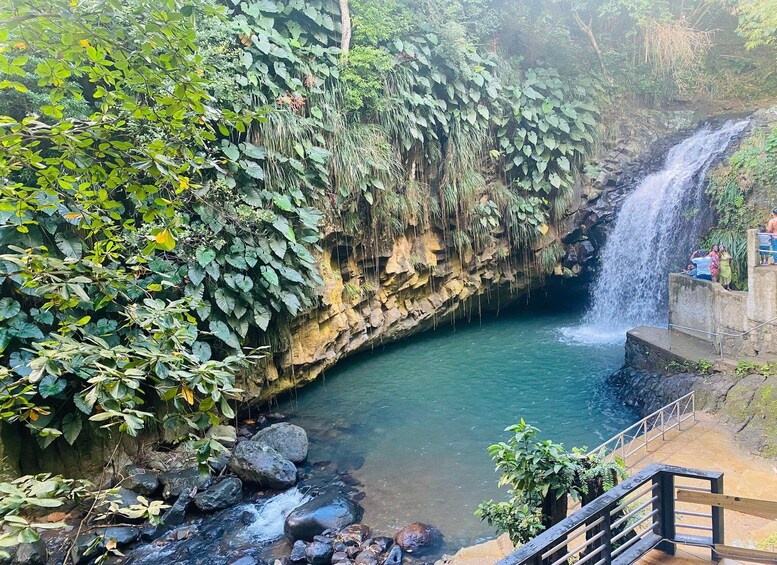 A waterfall cascading into a clear pool surrounded by lush greenery. 1