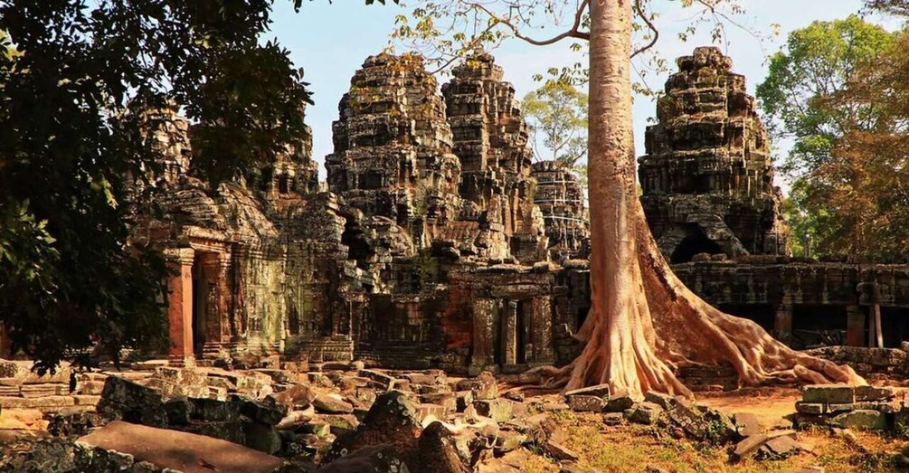 Ancient stone ruins with large trees in the foreground. 3
