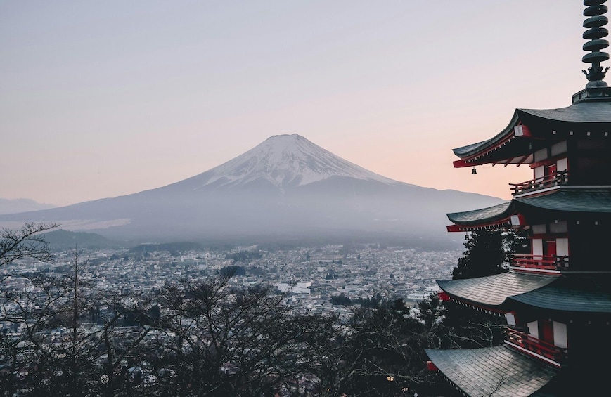 From Tokyo: Mt Fuji Private Day Tour by Licensed Premium Van 2