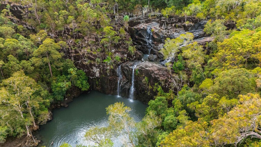 A waterfall cascading into a pool surrounded by dense forest. 1