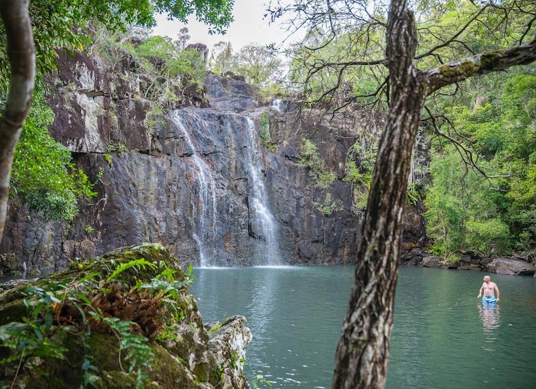 A waterfall cascading into a clear pool surrounded by dense greenery. 4