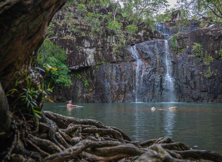 A waterfall cascading into a calm pool surrounded by dense foliage and large tree roots. 5