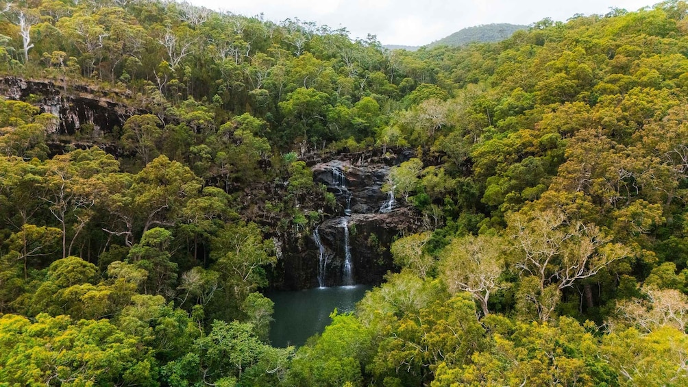 Picture 14 for Activity Airlie Beach: Cedar Creek Express Eco Tour 3