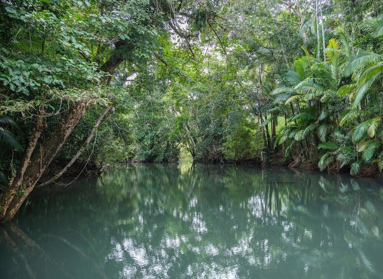 Picture 5 for Activity Airlie Beach: Cedar Creek Express Eco Tour 2