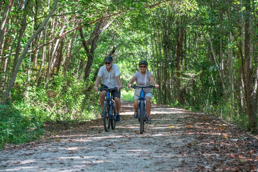Picture 10 for Activity Byron Bay: Northern Rivers Rail Trail E-Bike Hire & Shuttle 3