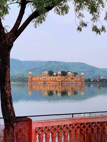 Picture 13 for Activity Delhi: Private 3-Days Jaipur & Ranthambore Tiger Safari Tour 3