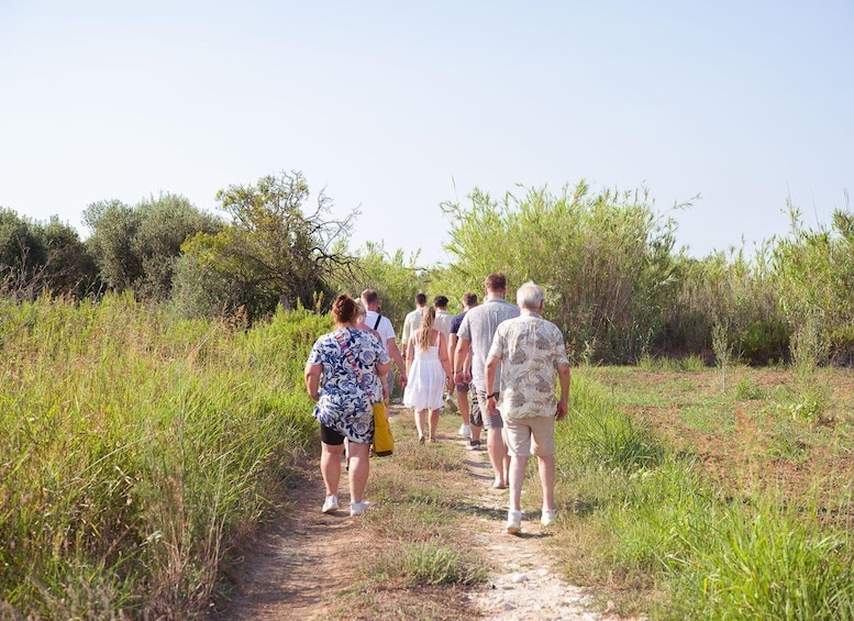 Picture 18 for Activity Balestrate: Olive Grove Tour with Wines & Olive Oil Tasting 5