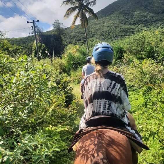 Two people riding horses on a trail surrounded by lush greenery and palm trees. 5
