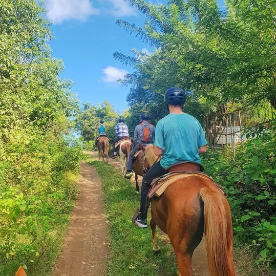 A group of people riding horses on a dirt path surrounded by greenery. 3