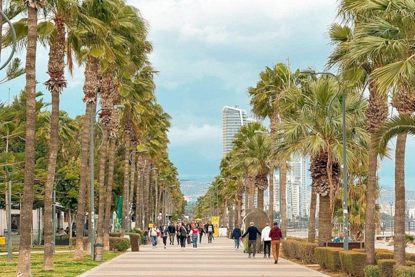 Un paseo arbolado con peatones, palmeras y una vista distante de edificios. 3