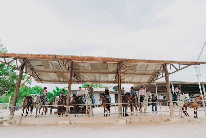 Picture 26 for Activity Aruba: Horseback Ride Tour to Wariruri Beach 4