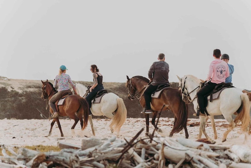 Picture 35 for Activity Aruba: Horseback Ride Tour to Wariruri Beach 2