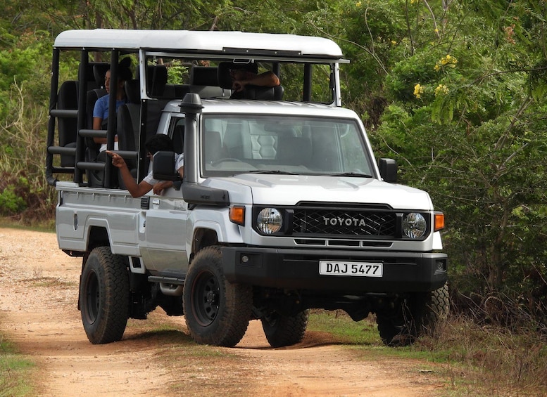 Yala Safari by LAND CRUISER - Private Wildlife Experience 1