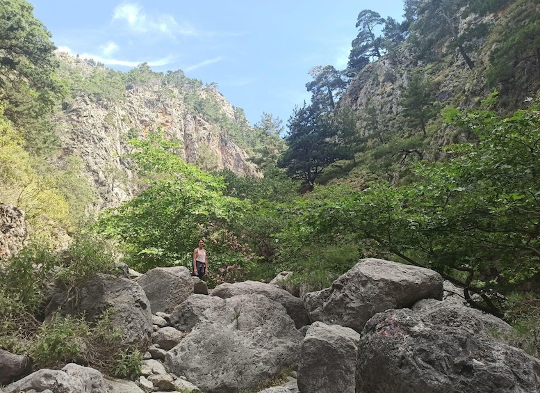 A rocky landscape with large boulders and dense green foliage. 5