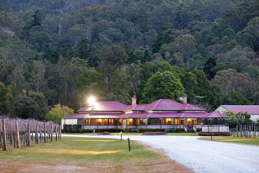 Picture 13 for Activity Gold Coast: 1-Hour Sunrise Balloon Bubbles, Alpacas, Langham 5