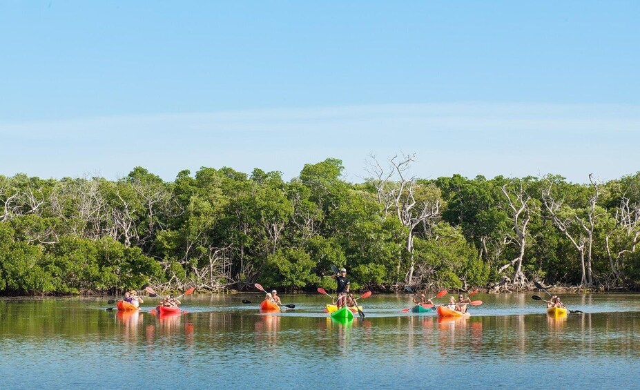 People kayaking on a calm river surrounded by dense mangrove trees. 2