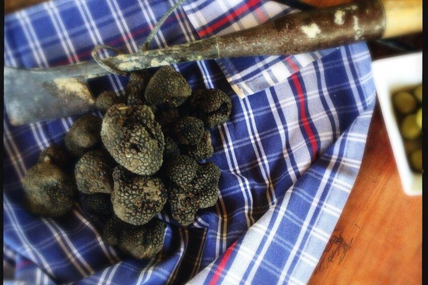 Truffle Hunting and Handmade Pasta in Ascoli Piceno 2