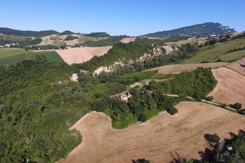 Truffle Hunting and Handmade Pasta in Ascoli Piceno 5