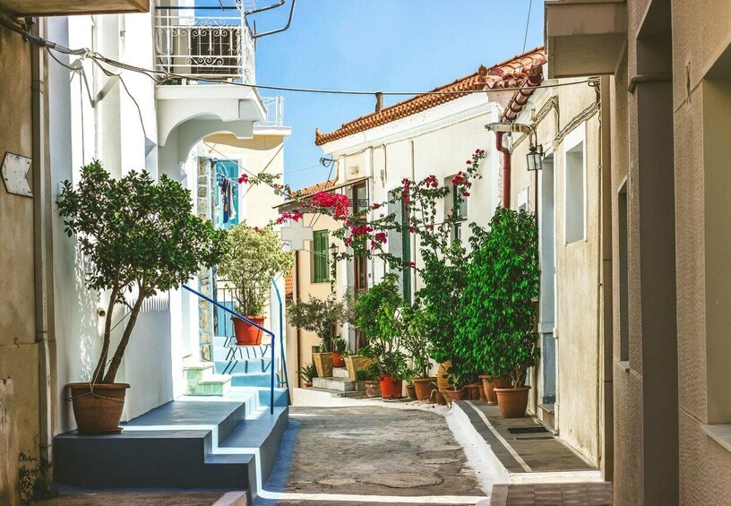 A narrow street with steps leading to a white building, potted plants, and a blue railing. 5