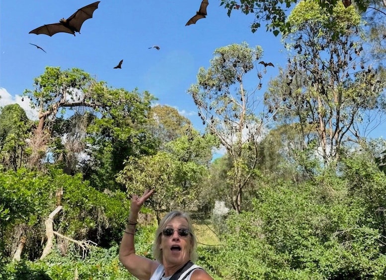 Picture 19 for Activity Sydney: Flying Fox Tour, Australia's Largest Bats 1