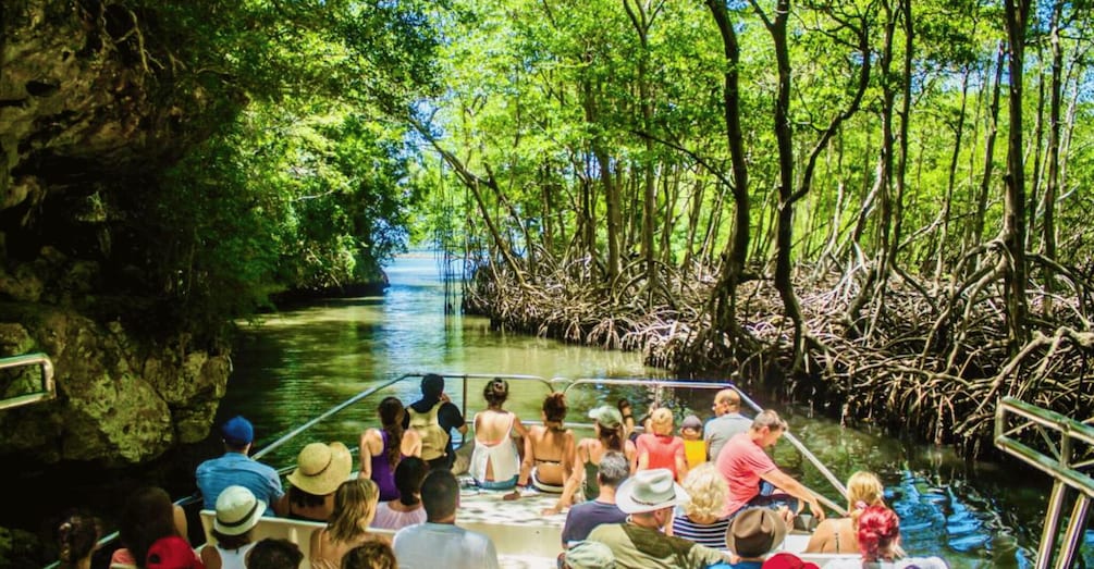 Picture 7 for Activity Samaná: City Tour + Los Haitises & Cayo Levantado Island 4