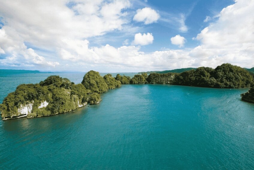 Picture 6 for Activity Samaná: City Tour + Los Haitises & Cayo Levantado Island 5