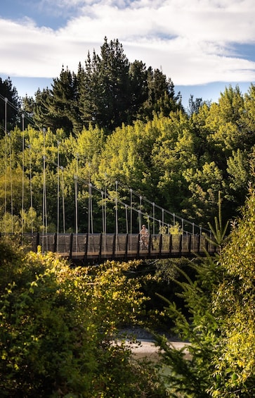 A suspension bridge in a forested area with dense trees and a clear sky. 3