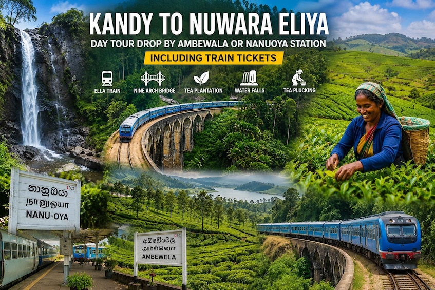 Kandy: Nuwaraeliya Tour & Ella Train journey, From Nanuoya 1