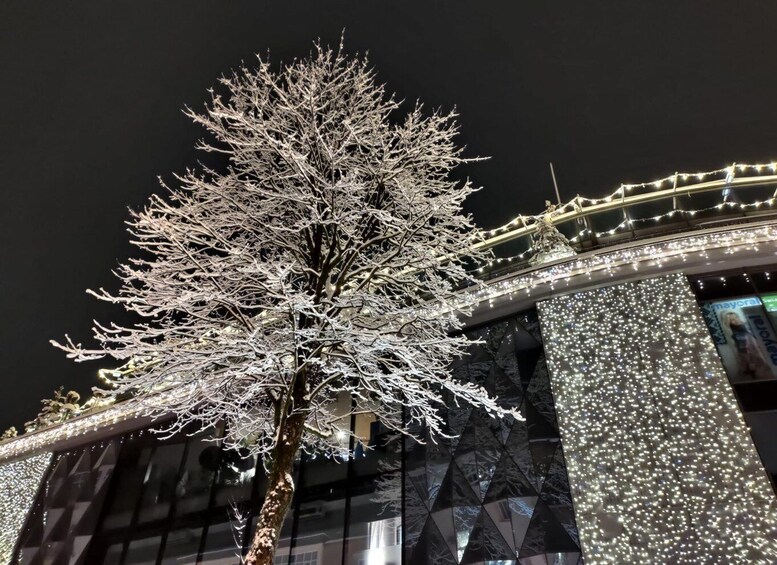 A large tree with snow-covered branches, a building with illuminated columns, and string lights. 3