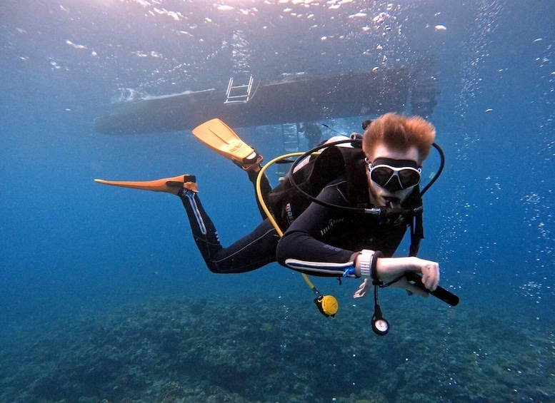 Picture 14 for Activity Kerama Diving Day Trip from Naha | English SSI Guides 4