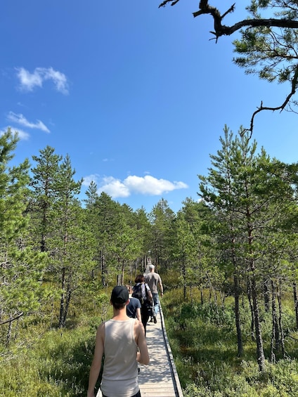Picture 32 for Activity From Tallinn: Lahemaa National Park Day Trip 2