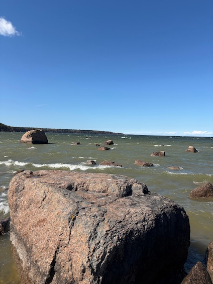 Picture 23 for Activity From Tallinn: Lahemaa National Park Day Trip 3