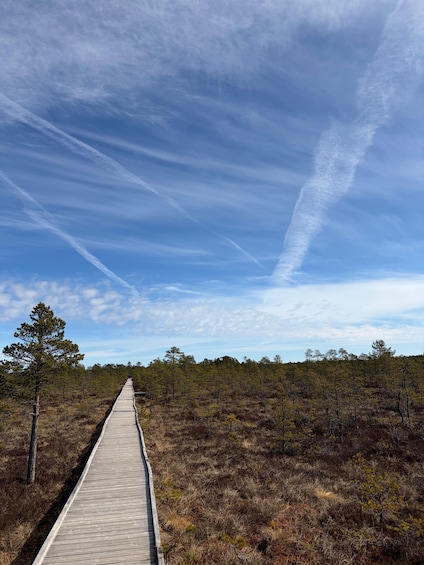 Picture 24 for Activity From Tallinn: Lahemaa National Park Day Trip 2