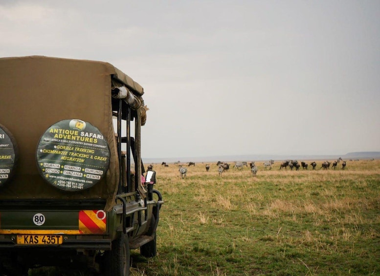 Picture 5 for Activity 22-Days Rwanda Uganda kenya Tanzania by Overlanding 5