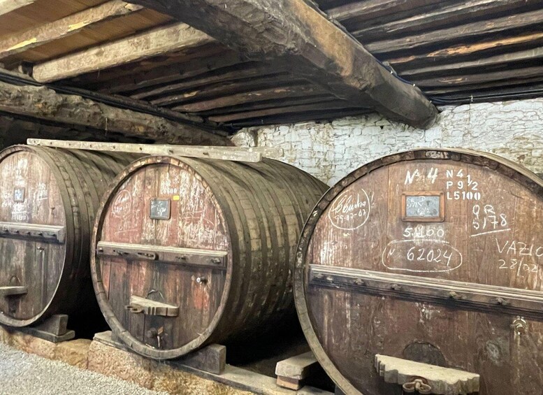 Picture 16 for Activity Porto: Douro Valley Tour with 2 Wineries, Lunch and Cruise 1