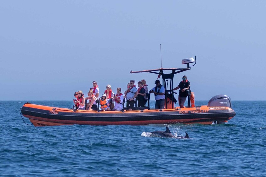 Picture 3 for Activity Cascais: Dolphin Watching Tour 2