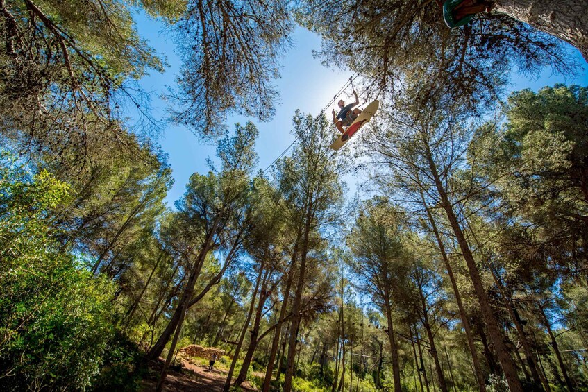 Picture 8 for Activity Mallorca: Adrenaline Tree Top Adventure Entry Ticket 2