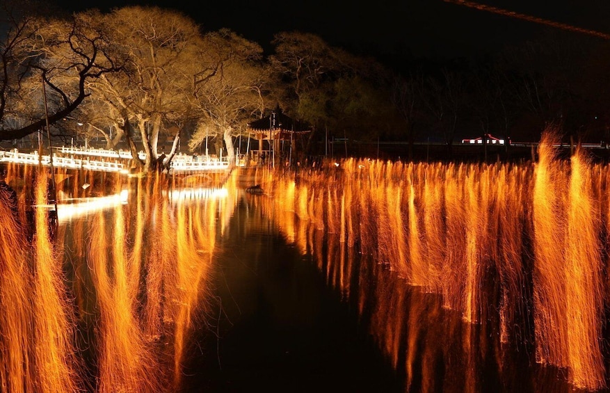 A nighttime scene with a water body reflecting lights, trees, and a distant building. 5
