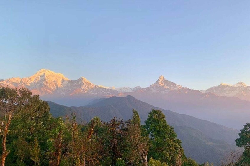 Picture 4 for Activity 1 Day Sarangkot Sunrise, Australian Camp & Dhampus Hike 2