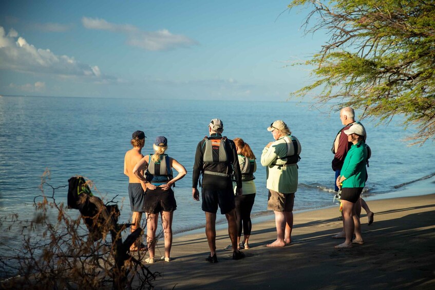 Picture 21 for Activity Turtle Town Coastal Kayak & Snorkel: Turtles Guaranteed 3