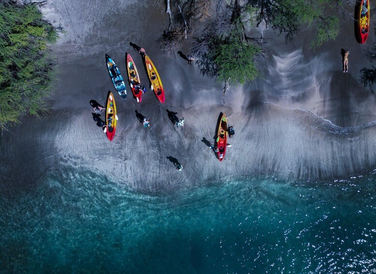 Picture 4 for Activity Turtle Town Coastal Kayak & Snorkel: Turtles Guaranteed 2