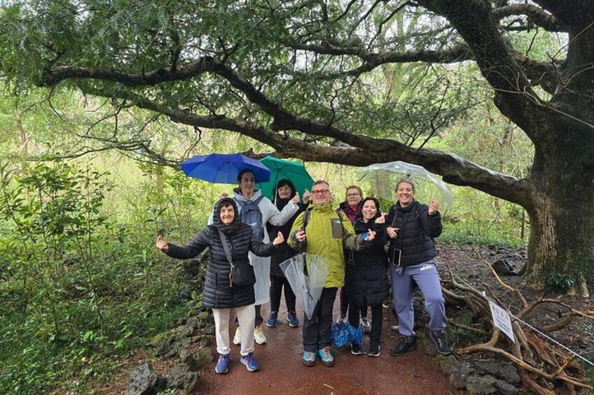 A group of people standing under a large tree on a forested path. 5
