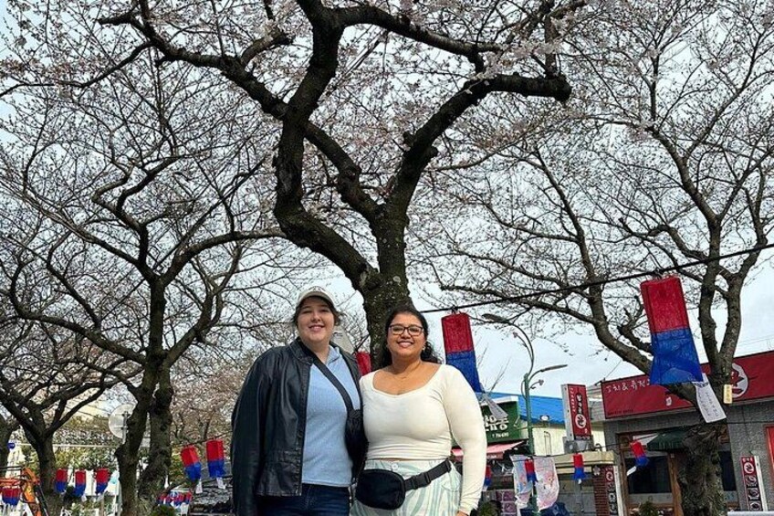 Jeju Private Half-Day Tour for Cruise Customers 2