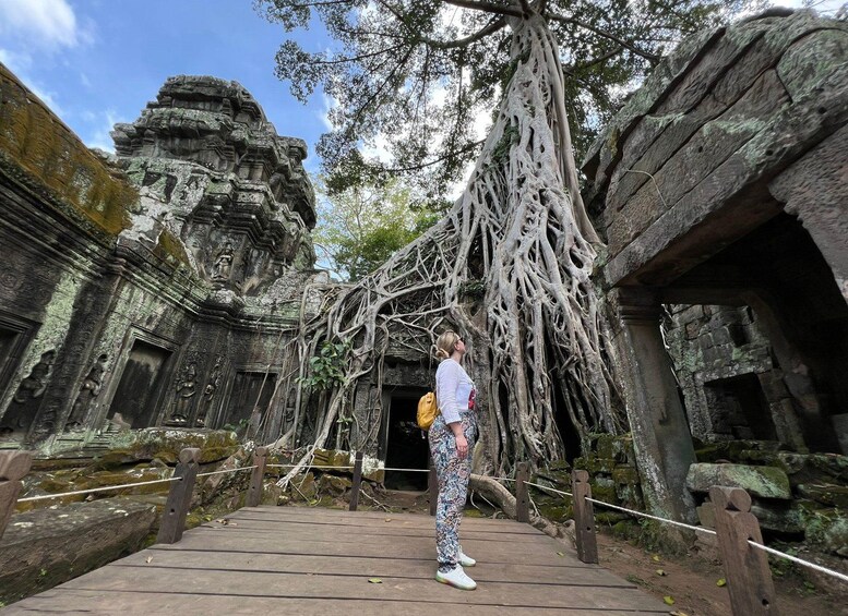 Picture 12 for Activity Full Day Angkor Wat Temple Tour from Phnom Penh All Incluive 2
