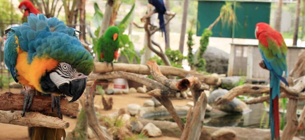 Picture 1 for Activity Puerto Plata Wildlife Discovery TourNa ture & Ecosystems 5