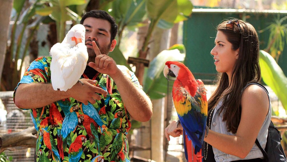 Picture 4 for Activity Puerto Plata Wildlife Discovery TourNa ture & Ecosystems 2