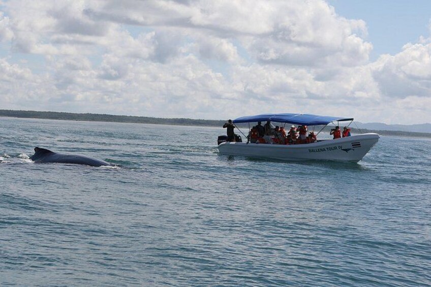 Boat 2