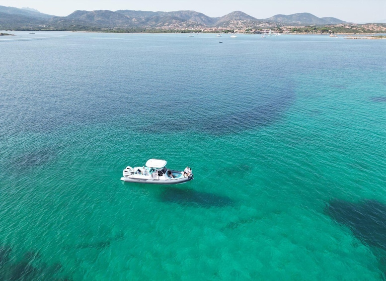 Picture 6 for Activity OLBIA: Unique excursions in the Gulf of Olbia 5